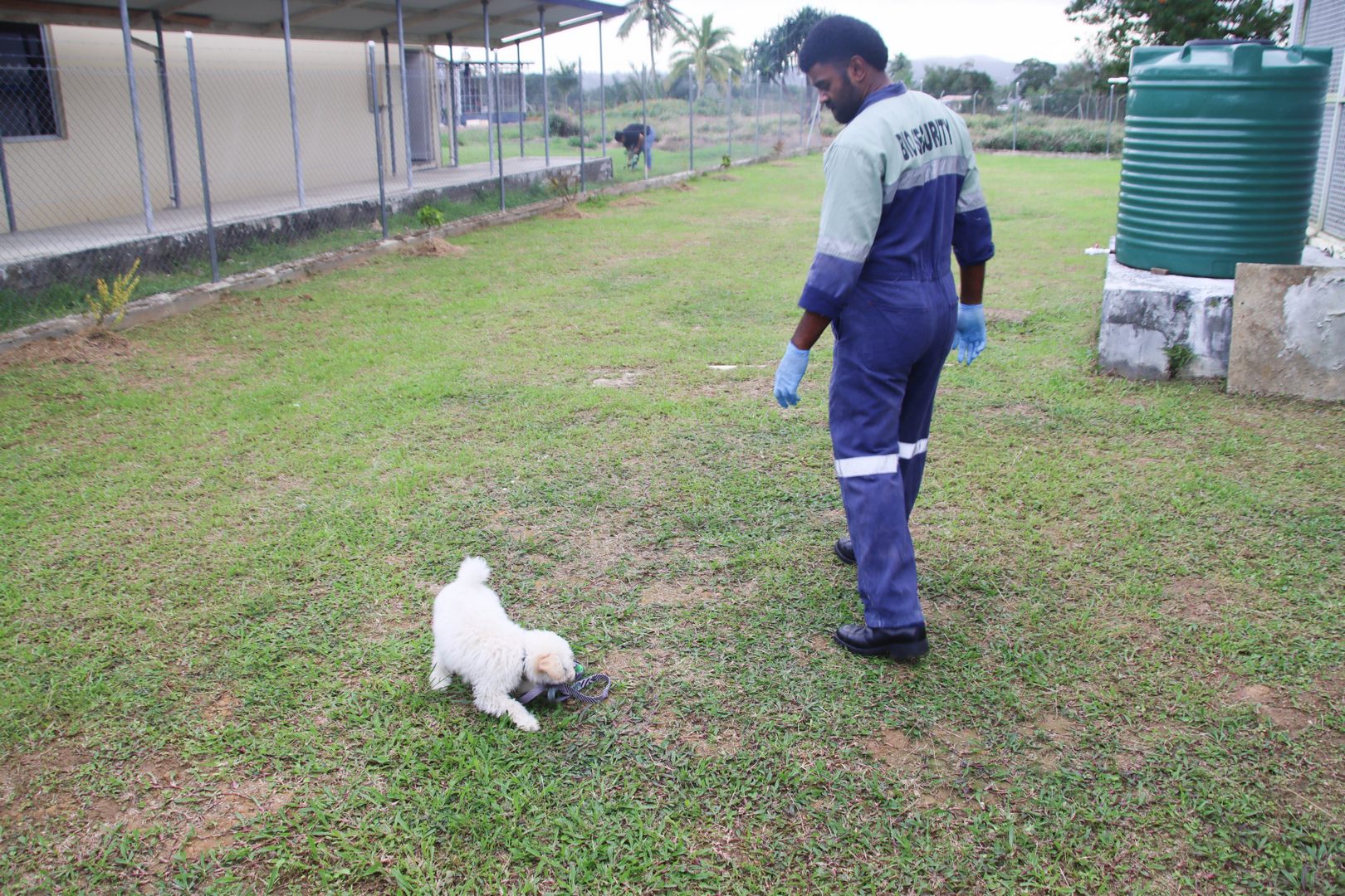 photo-gallery-biosecurity-authority-of-fiji